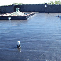 Residential Flat Roofing Contractor Eden Prairie